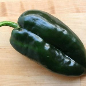 Poblano Pepper