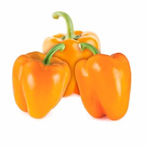 Orange Bell Pepper